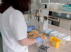 В Ростовской области за сутки выявлено 145 случаев коронавируса