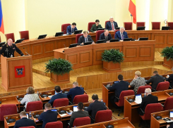 В Ростовской области родители детей-инвалидов получат регулярную бесплатную помощь соцработников