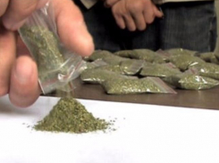 В Ростовской области у наркодилера со стажем обнаружили почти килограмм марихуаны