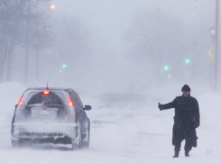 Сервис «Яндекс. Попутка» заработал в Ростове-на-Дону