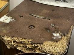 Серийная похитительница пожертвований объявилась в Донецке Ростовской области 