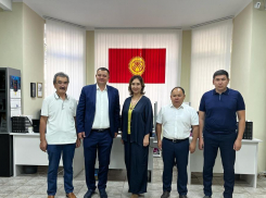 Власти Ростова привлекут мигрантов из Киргизии для работы водителями автобусов