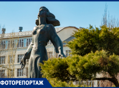 Весна, которую мы пропускаем: фоторепортаж с цветущих улиц Ростова