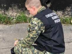 В Ростовской области задержали мужчину, который убил родственников своей сожительницы