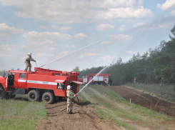 В Ростовской области потушили крупный лесной пожар