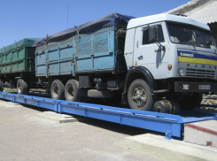 Преступную группировку во главе с бизнесменом-рецидивистом накрыли в Ростове