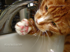 На двое суток без капли воды останутся жители трех микрорайонов и десятка поселков Ростова