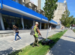 Почти 300 человек в Ростове привлекли к ответственности за нескошенные сорняки