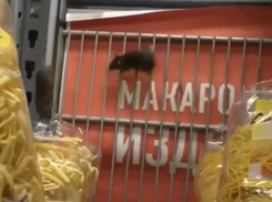 Веселая возня беззаботных мышей на полках с макаронами ростовского супермаркета взбесила покупателей
