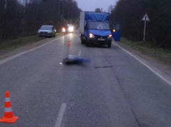 Мужчина-пешеход погиб под колесами «Газели» на трассе в Ростовской области