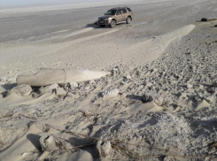 Таганрогский залив пересох из-за сильного ветра