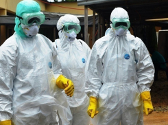 Ученые из Ростова предупредили о риске заразиться чумой во время путешествия по России