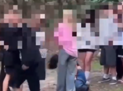 В Таганроге полиция задержала девочек, избивших сверстницу 