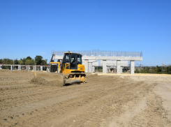 Апелляционный суд отказал жителям в иске о вырубке деревьев для Западной хорды