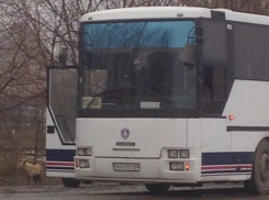 Выезды из Ростова перекрыты из-за сообщения о террористке в пассажирском автобусе. Фото