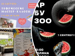 Отмечаем праздник арбузов, отмечаем «32 августа» и участвуем в «НейроСтритАрте»: куда пойти в Ростове на этой неделе