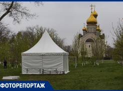 Осталось 15 дней: как преображается парк 8 марта, который должны сдать 1 мая