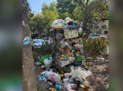 Региональный оператор просит демонтировать сетки для сбора пластика в Ростове-на-Дону