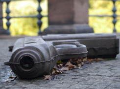 На стрелка из свадебного кортежа в Ростове завели уголовное дело