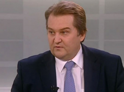 Михаил Емельянов: СР не удовлетворена содержанием доклада Дмитрия Медведева