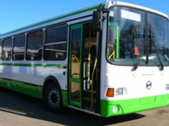 За что платить 25: маршруты №5 и №42 ростовчане регулярно теряют из вида