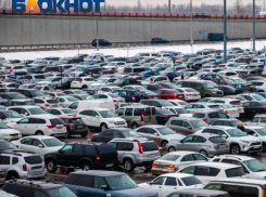 «Енотик» и «Бегемотик»: 30% ростовчан дают прозвища своим автомобилям