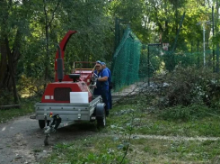 Ростов спустя почти три недели продолжает убирать последствия урагана: Александр Скрябин дал новые поручения