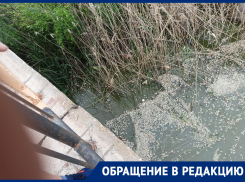 «Всем вместе спасать надо»: в Ростовской области из-за канализационных вод гибнет река Быстрая