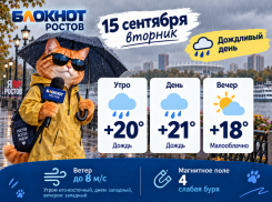 Дождь и до + 21 градуса ожидаются в Ростове 15 сентября