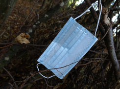 Власти сообщили о рекордном числе смертей от коронавируса в Ростовской области