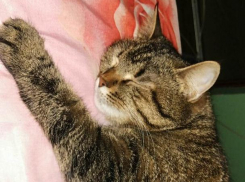 Дни становятся прохладнее: какая погода ждет ростовчан в понедельник, 2 сентября