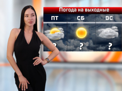 Дождливо и тепло будет в Ростове в первые выходные лета