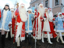 Ростовские власти пообещали обеспечить Дедами Морозами все детские сады