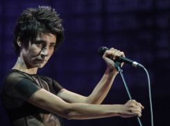 Ростовчанин не оставляет попыток «засудить» Земфиру 