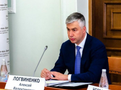 Алексей Логвиненко заявил, что ростовчане не одобрят тотальную уборку снега