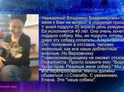 Полковник из Ростова прислушался к Путину и подарил жене собаку 