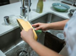 Ростовских официантов и мойщиков посуды готовы трудоустроить в Анапе