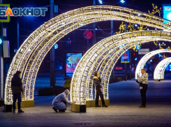 Власти Ростова усилят  борьбу с незаконной торговлей в преддверии Нового года