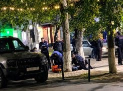 В результате кровавой резни в парке Батайске пострадали женщина и мужчина  