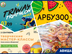 Идем на арбузный пикник, встречаемся с посткроссерами и создаем брошь: куда пойти в Ростове на этой неделе