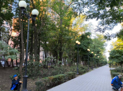 Ростовские власти спустя пять лет взяли на баланс скандальный парк Вересаево