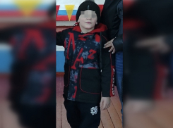 Пропавшего в Шолоховском районе мальчика нашли живым