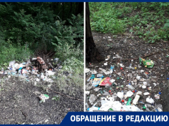 Торговцы овощного рынка устроили помойку и общественный туалет вокруг старого аэропорта