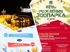 Слушаем «Симфонию любви», отмечаем день рождения зоопарка и День молодежи: куда пойти в Ростове на этой неделе