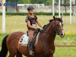 Скаковой сезон на ростовском ипподроме стартует без зрителей