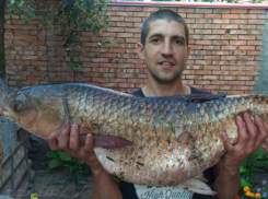 Полутораметрового амура выловил в Дону счастливый молодой рыбак из Ростова