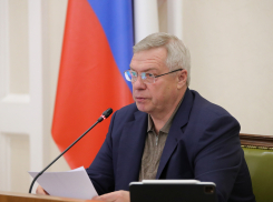Голубев заявил, что у школ Ростовской области будут дежурить казаки и дружинники 