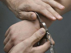 В Ростовской области поймали двоих парней и девушку, которые занимались грабежами