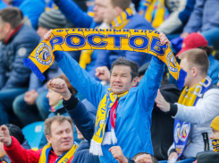 В мэрии Ростова прокомментировали жалобу на Логвиненко из-за футбольной кричалки