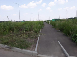Содержание нового городского кладбища Ростова обойдется в 4,5 млн рублей
